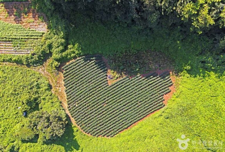 [충북] 여천리 돌리네군