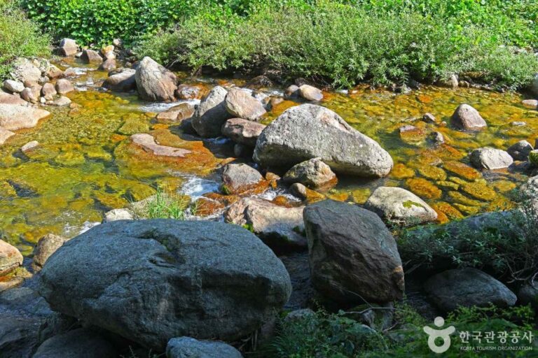 [충북] 새밭계곡