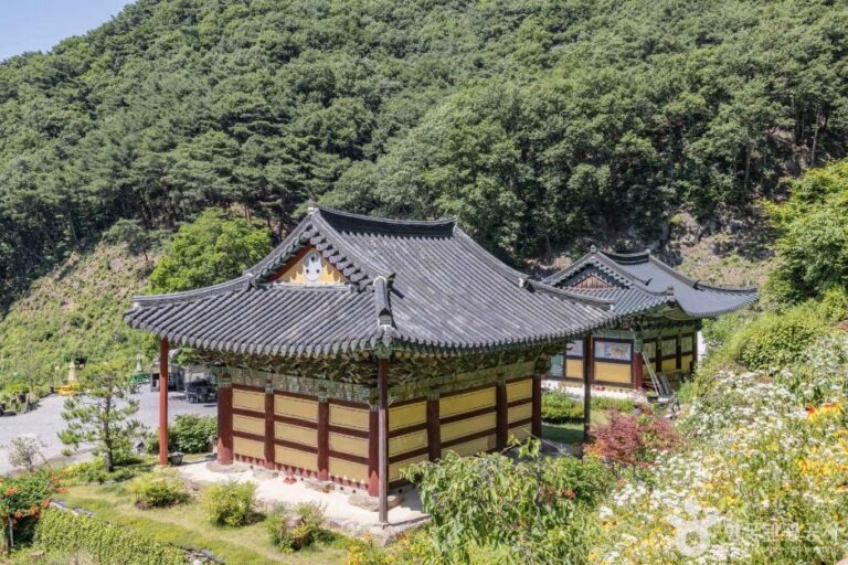 [충북] 월리사(청주)