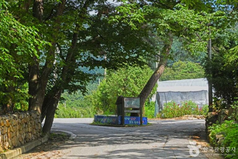 [충북] 소백산 가리점마을(마조리마을)