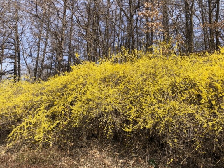 [충북] 농심테마공원
