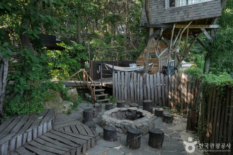 [인천] 톰아저씨 트리하우스