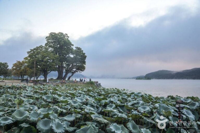 [경기] 양평 두물머리