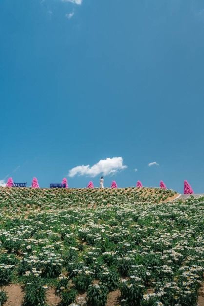 [경기] 허브아일랜드