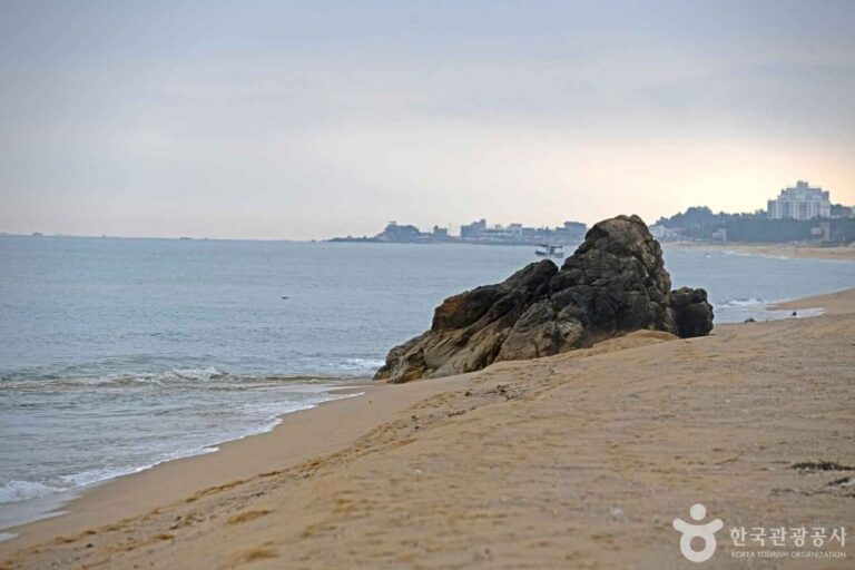 [강원] 원포리해변