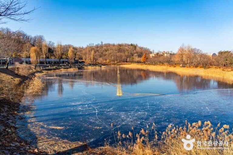 [서울] 서서울호수공원