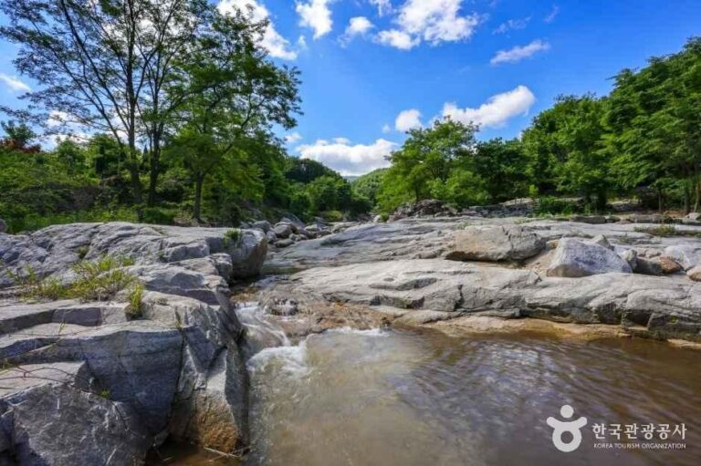 [대구] 동산계곡