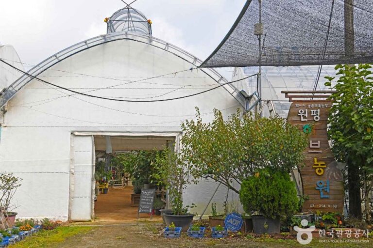 [경기] 원평허브농원