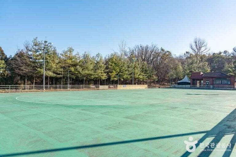 [경기] 석수체육공원