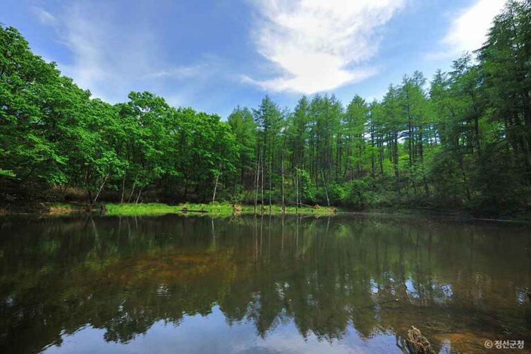 [강원] 도롱이연못