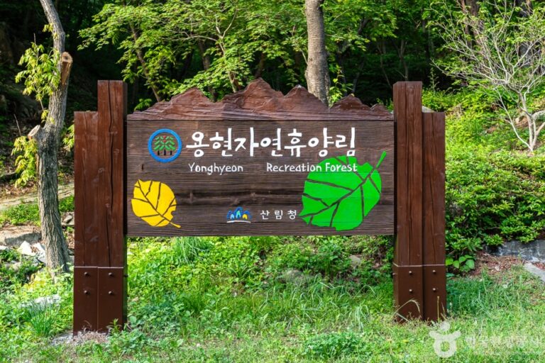 [충남] 국립 용현자연휴양림