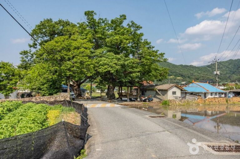 [충남] 공암마을