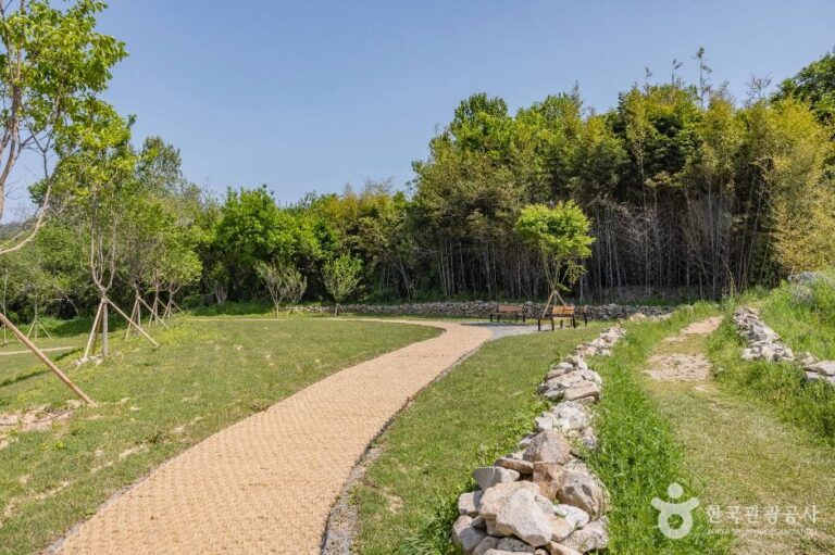 [충남] 면천읍성 대숲바람길