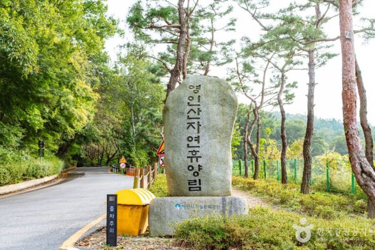 [충남] 아산 영인산자연휴양림