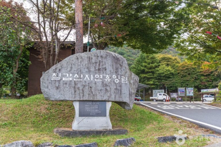 [충남] 칠갑산자연휴양림