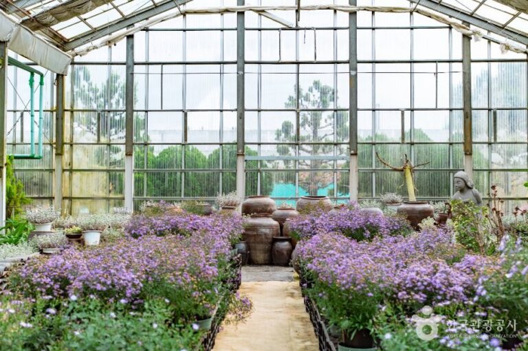 [충남] 세계꽃식물원