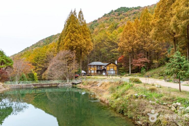 [충남] 온빛자연휴양림