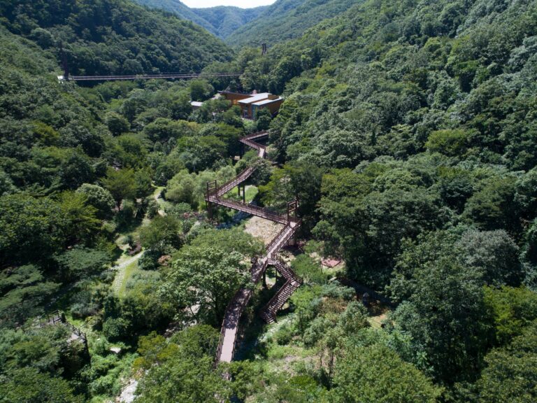 [충남] 금산산림문화타운