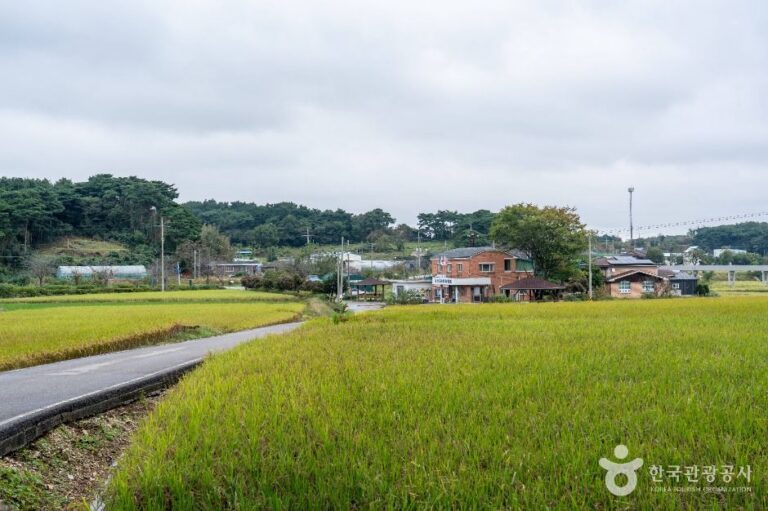 [충남] 서산 회포마을