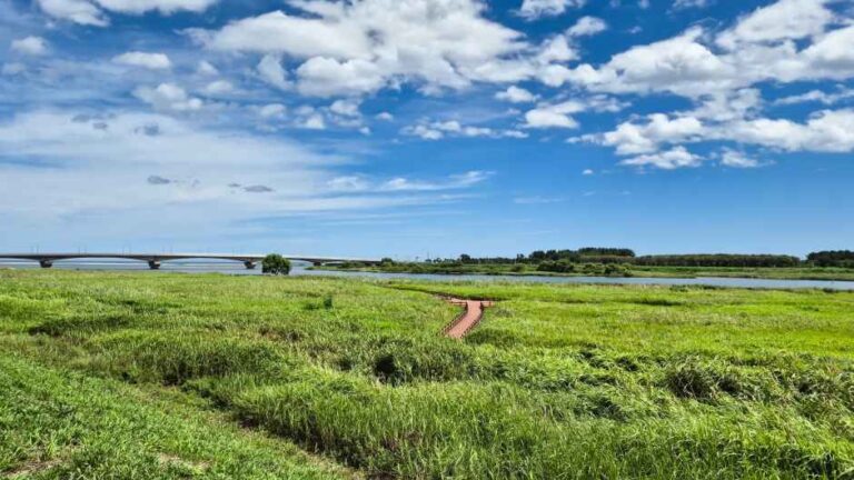 [강원] 남대천연어생태공원