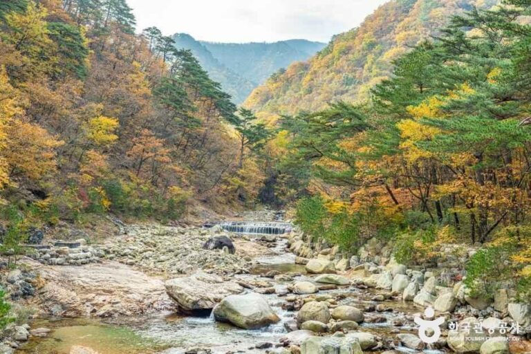 [강원] 설악산 오색주전골