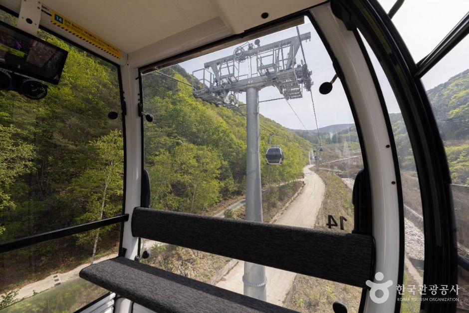 정선_가리왕산케이블카 (4)