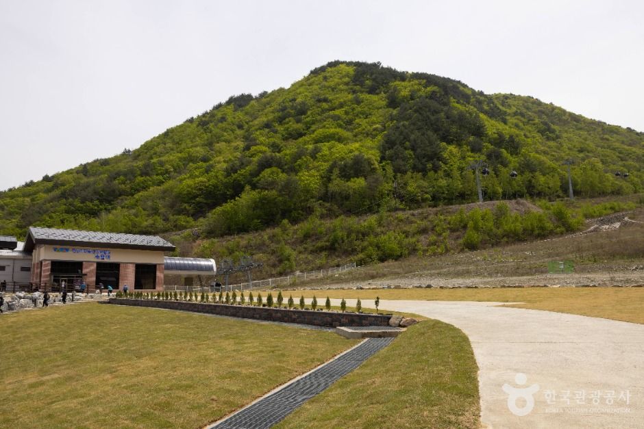 정선_가리왕산케이블카 (9)