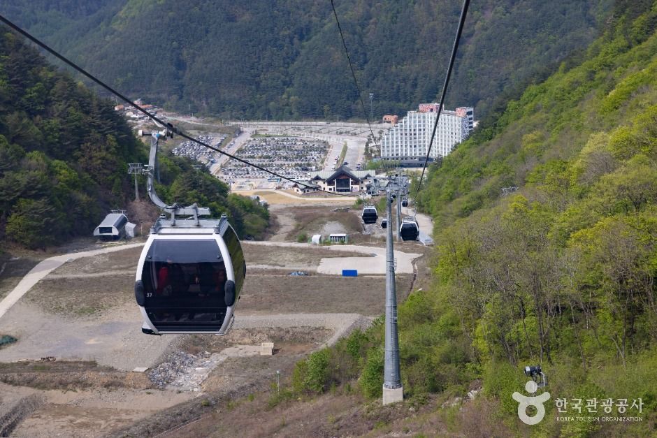 정선_가리왕산케이블카 (10)