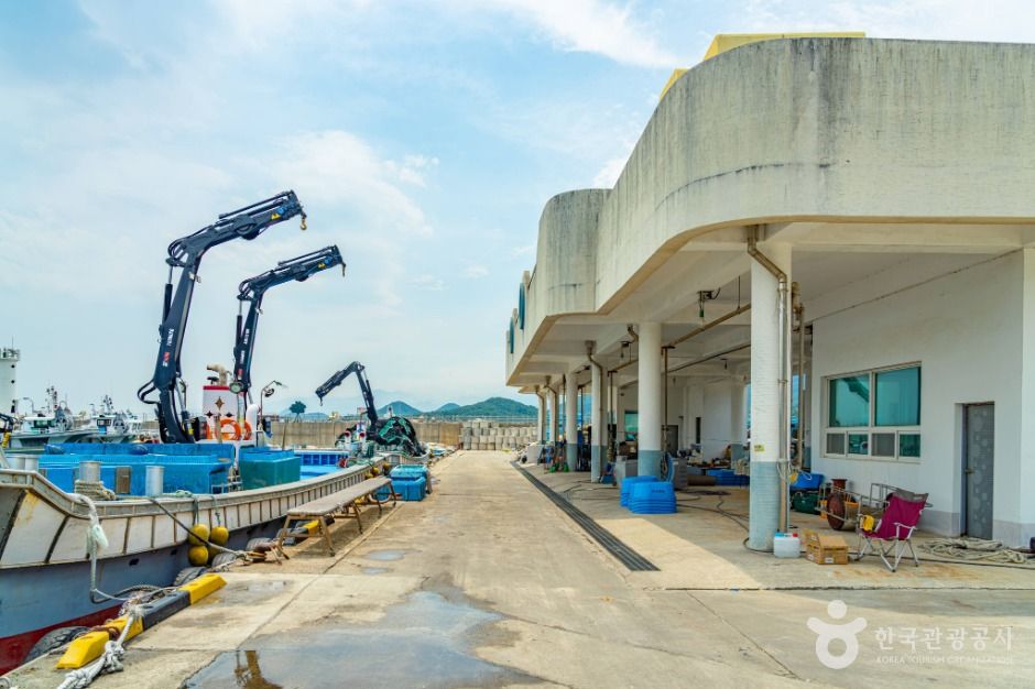 강원고성_가진항 (3)