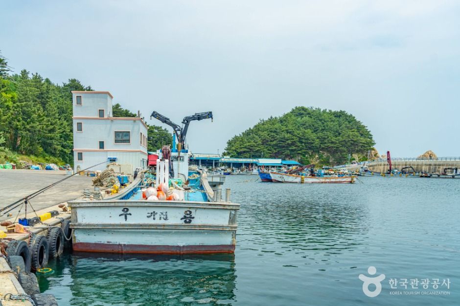 강원고성_가진항 (6)