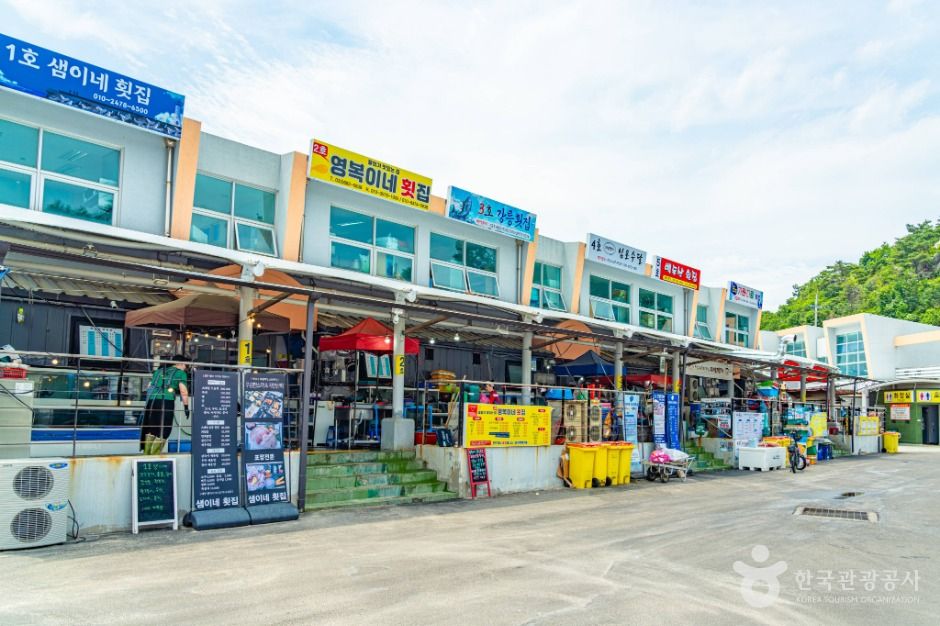 강원고성_가진항 (7)