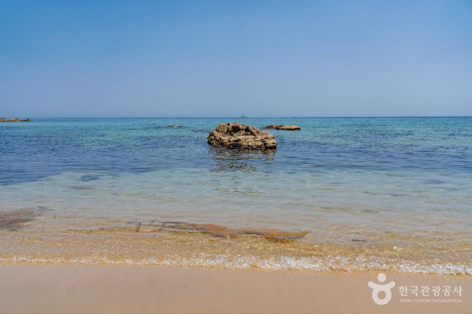 동해_감추해변 (4)