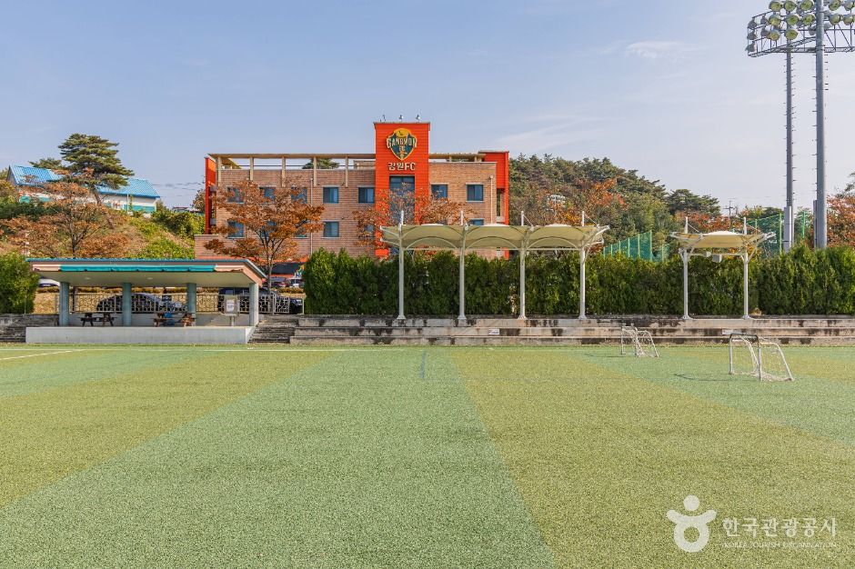 강릉_강남축구공원 (2)