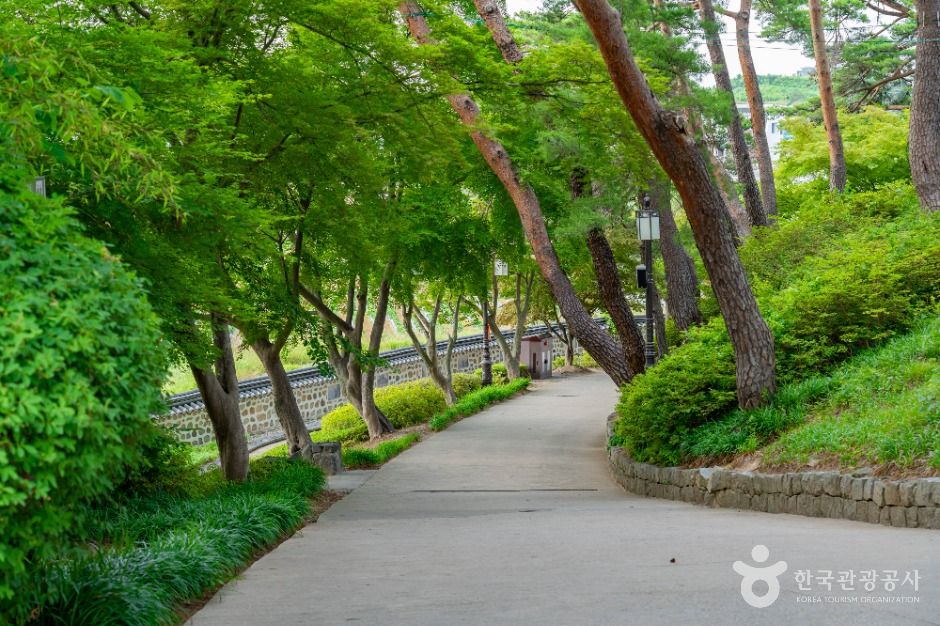 강릉_강릉 경포대 (3)