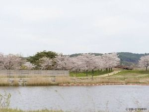 경포생태저류지