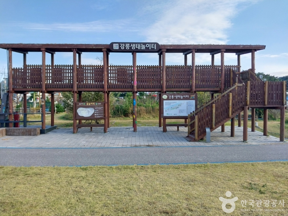 강릉 녹색도시체험센터_1
