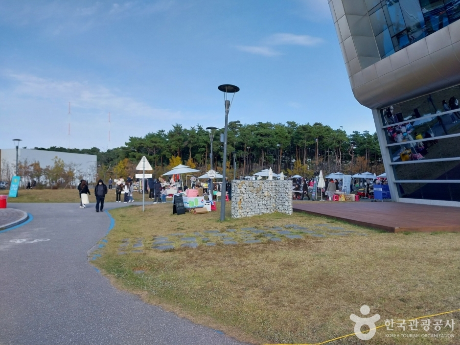 강릉 녹색도시체험센터_10