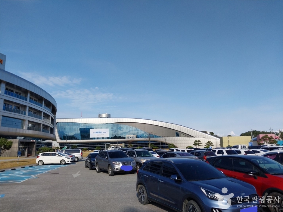 강릉 녹색도시체험센터_13