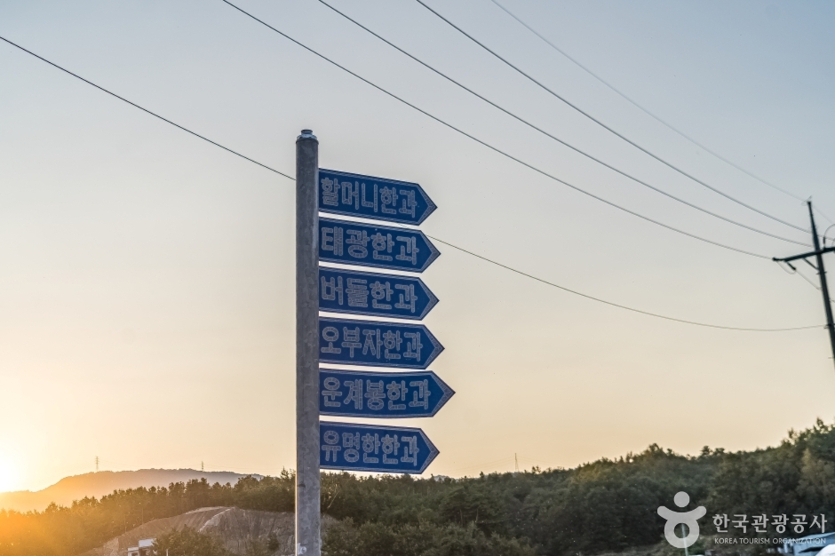 강릉 모래내 한과마을(갈골한과) (17)