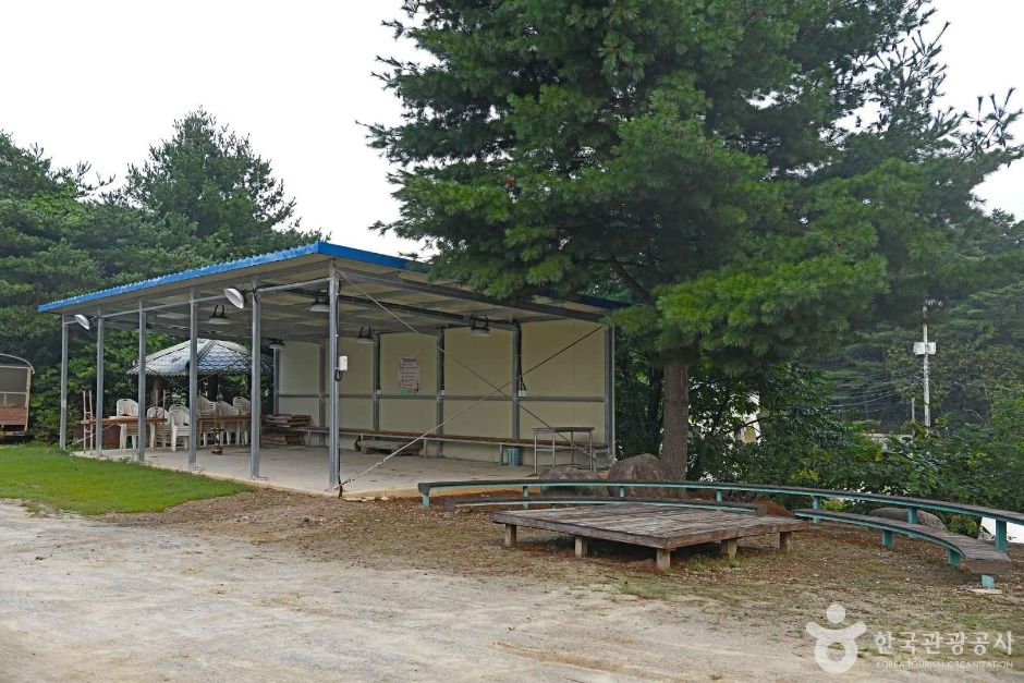 강릉 복사꽃마을 (1)