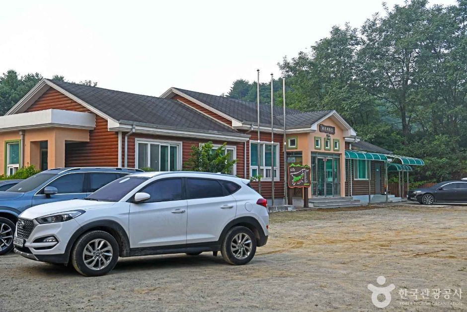 강릉 복사꽃마을 (3)