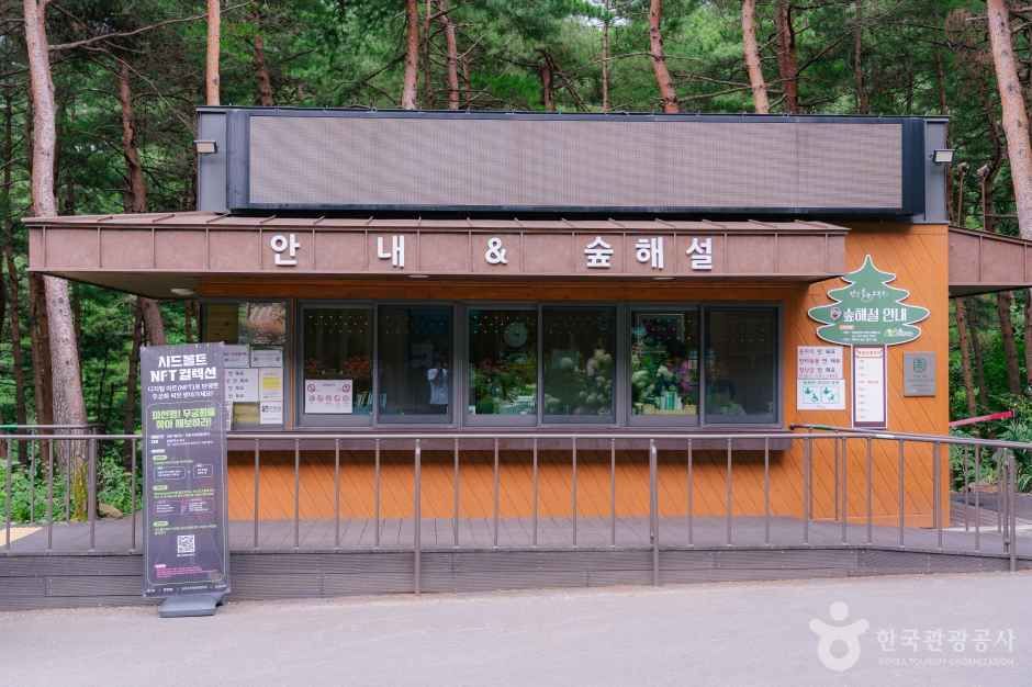 강릉솔향수목원