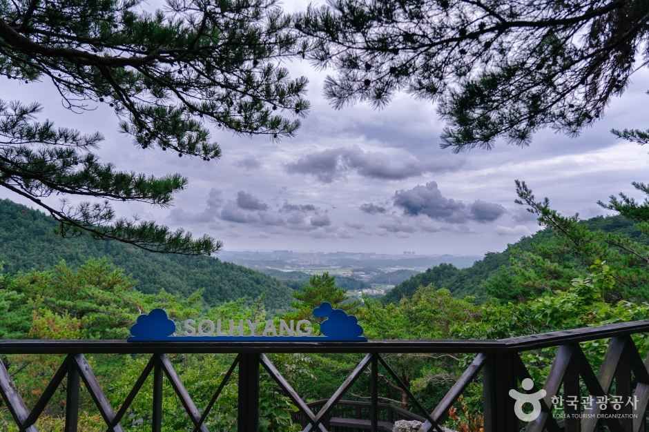 강릉솔향수목원