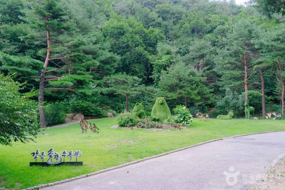 강릉 솔향수목원