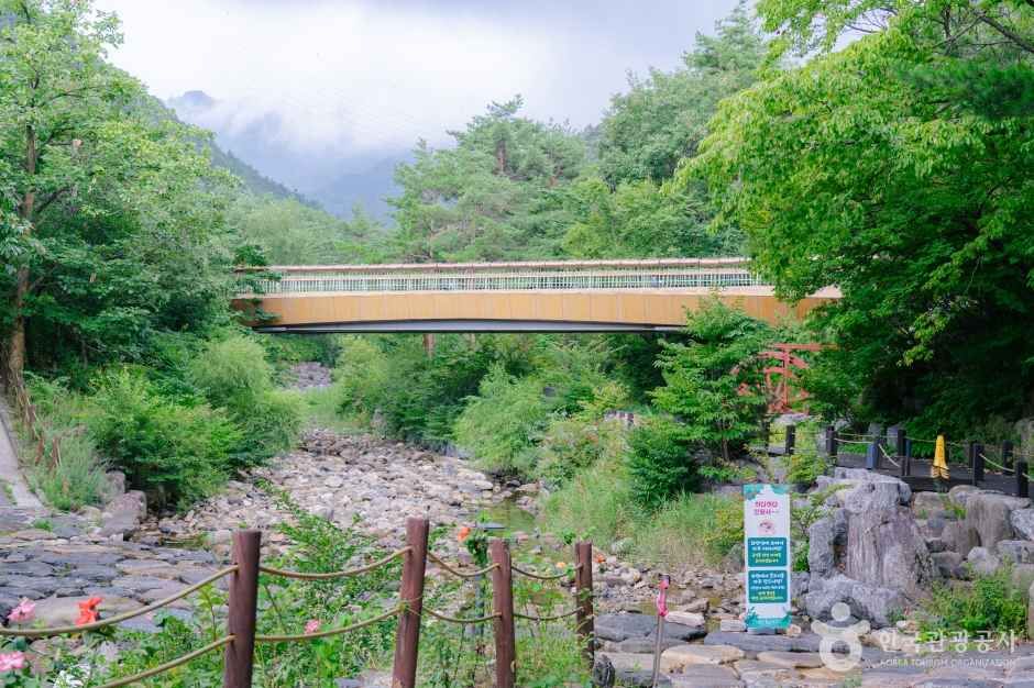 강릉솔향수목원