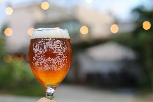 버드나무 브루어리