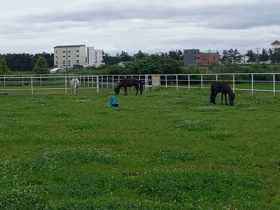 강릉_강릉아기동물농장 (3)
