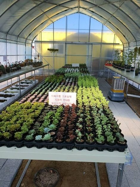 강릉_강릉아기동물농장 (4)