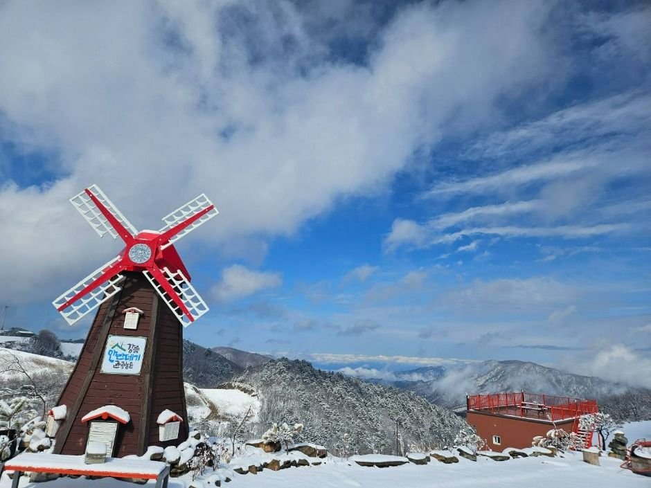 강릉안반데기관광농원 (2)