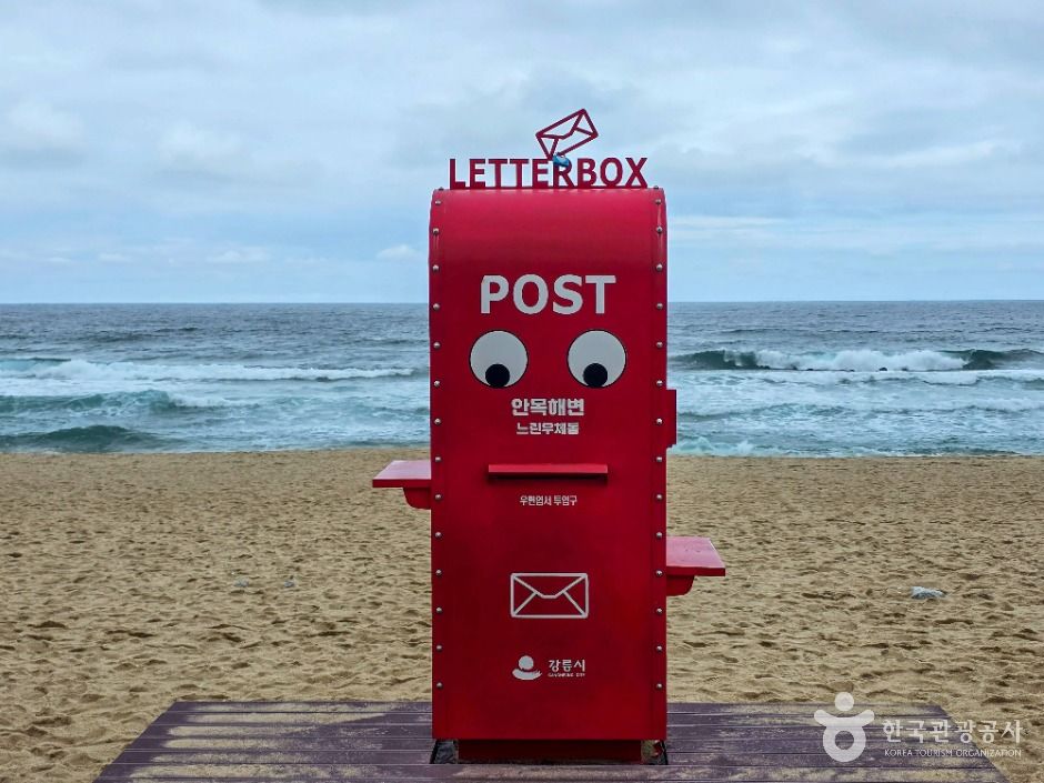 강릉_커피거리 (1)